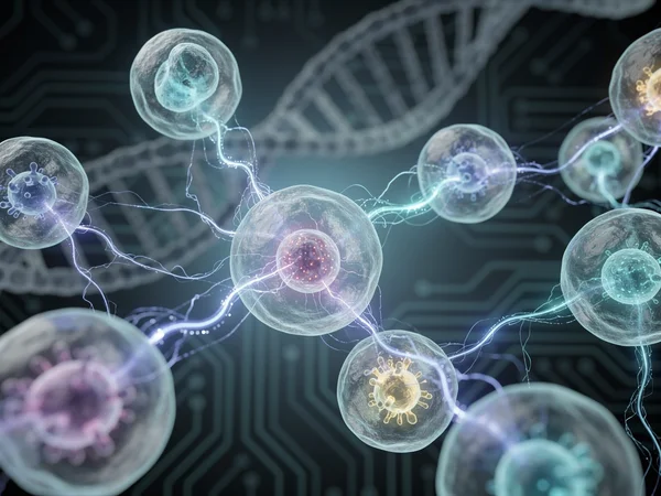 The Electric Language of Life: How Cells Harness Bioelectricity to Make Collective Decisions